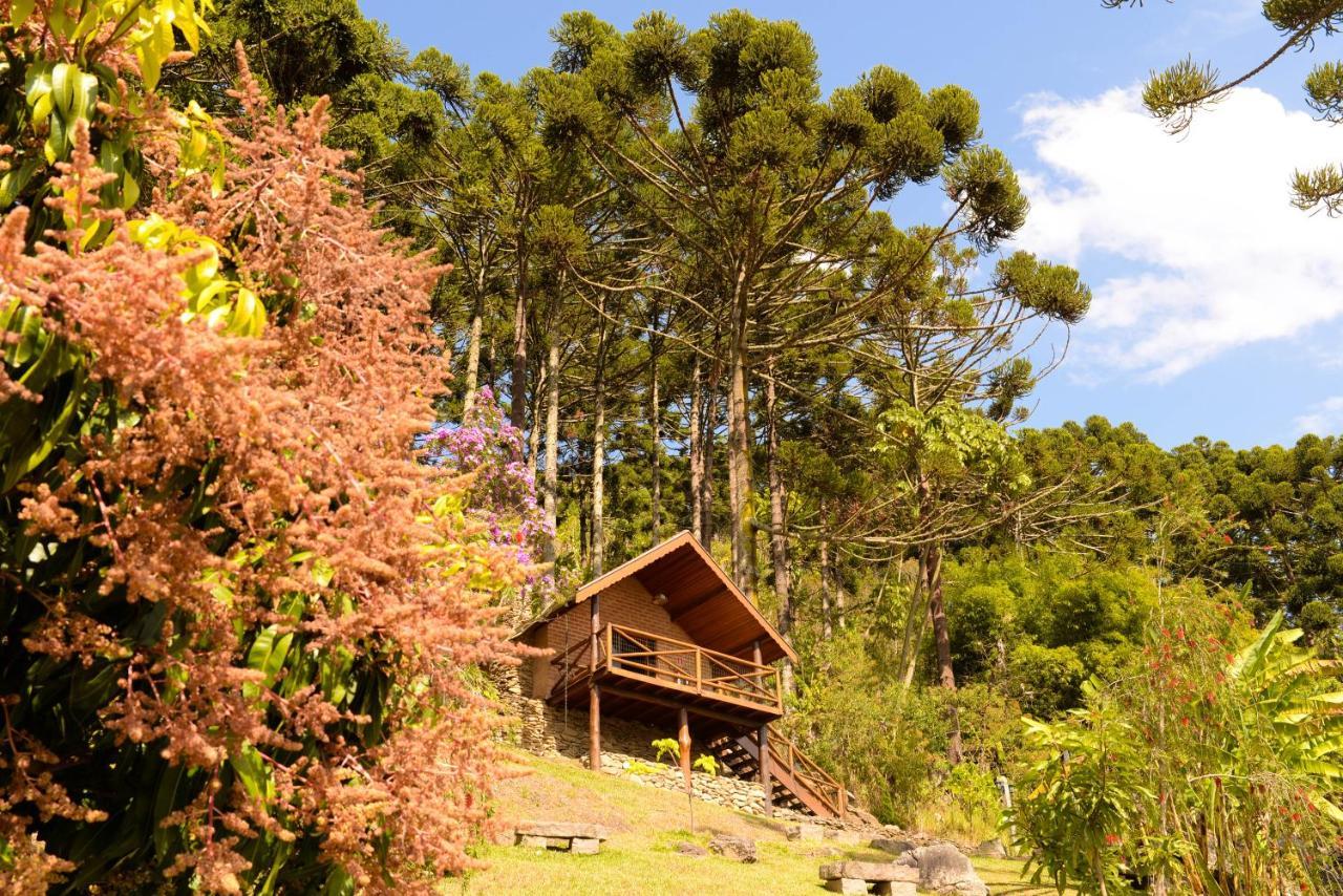 Chales Araucaria E Manaca サン・ベント・ド・サプカイー エクステリア 写真