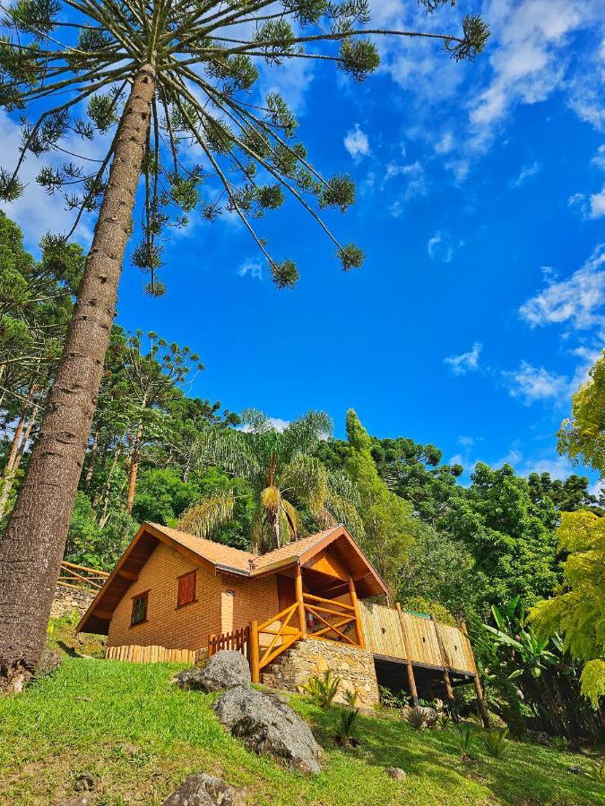 Chales Araucaria E Manaca サン・ベント・ド・サプカイー エクステリア 写真