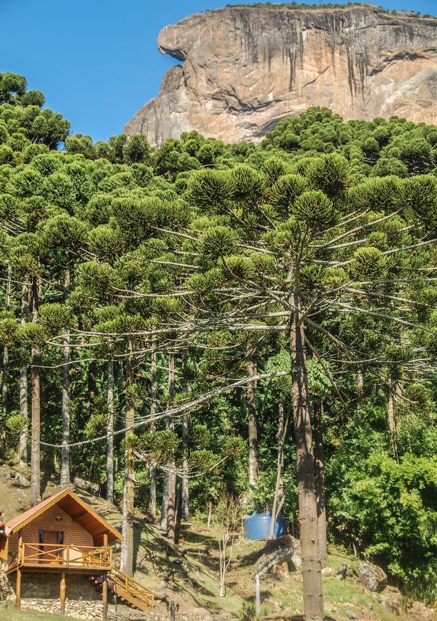 Chales Araucaria E Manaca サン・ベント・ド・サプカイー エクステリア 写真