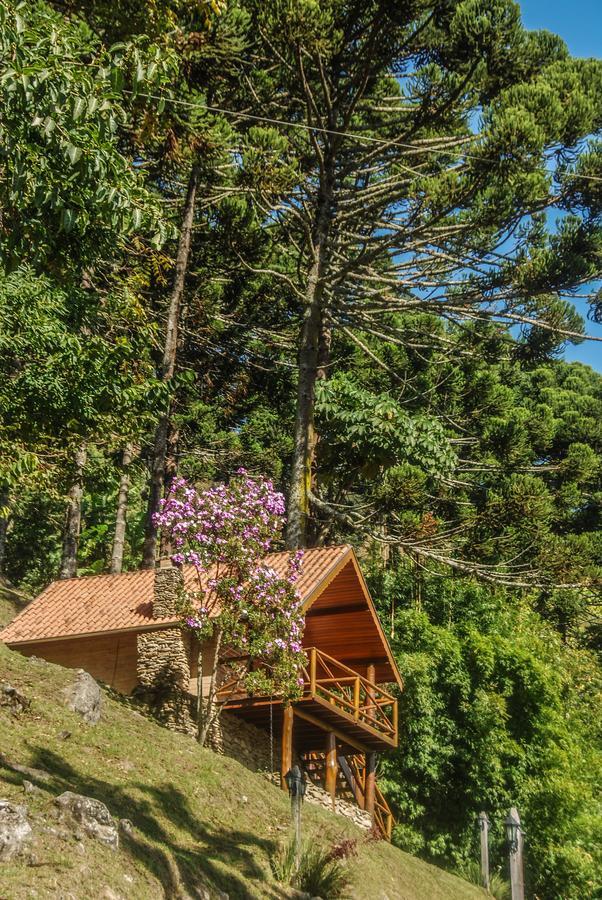 Chales Araucaria E Manaca サン・ベント・ド・サプカイー エクステリア 写真